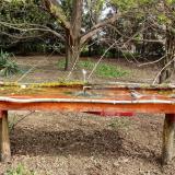 photo 2021-04-11 09-49-12