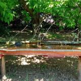 photo 2021-05-10 12-25-47