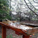 photo 2022-03-31 16-14-04