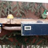 photo 2021-02-07 11-09-56