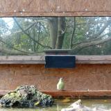 photo 2023-10-26 14-29-22