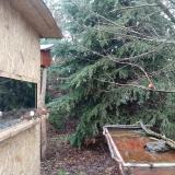 photo 2021-12-30 12-15-13