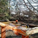 photo 2022-03-14 08-33-59