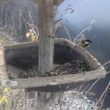 photo 2019-12-29 08-45-08