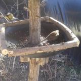 photo 2019-02-23 11-50-58