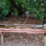 photo 2021-09-20 17-16-44