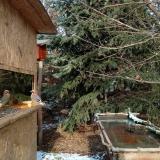 photo 2022-01-09 12-58-33