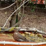 photo 2021-04-18 10-17-28 rigo