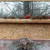 photo 2022-01-16 10-06-04