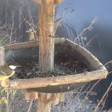 photo 2019-12-31 13-26-25