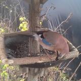 photo 2019-12-22 11-59-11