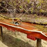 photo 2021-04-06 12-52-04