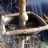 photo 2019-02-09 15-16-33