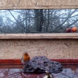 photo 2022-01-30 07-04-40