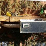 photo 2021-02-13 12-13-18