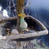 photo 2019-01-19 12-34-23