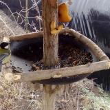 photo 2019-02-08 09-35-04