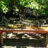 photo 2021-05-10 10-28-27