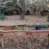 photo 2021-10-26 07-56-35