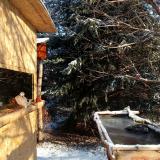 photo 2022-01-09 09-19-05