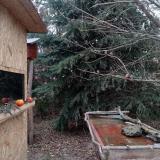 photo 2021-12-27 10-40-00