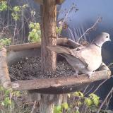 photo 2019-12-15 15-00-05