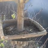 photo 2019-12-24 11-42-17