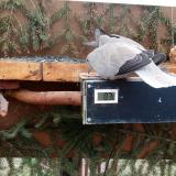 photo 2021-03-05 08-24-22