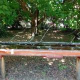 photo 2021-07-01 13-16-26