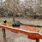 photo 2021-03-25 09-24-12