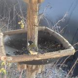 photo 2019-12-30 12-56-14