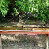 photo 2021-05-12 09-52-27