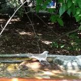 photo 2021-09-07 13-20-43 baratposzata