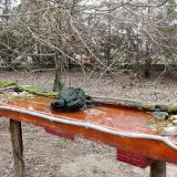 photo 2021-03-24 14-54-39