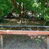 photo 2021-07-01 13-14-38