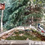 photo 2023-10-05 11-25-21