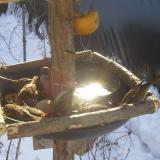 photo 2019-01-27 10-10-30