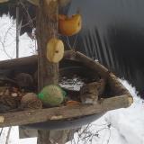 photo 2019-01-27 12-49-48