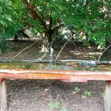 photo 2021-08-08 15-49-20