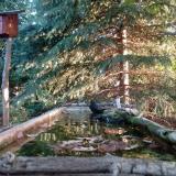 photo 2023-10-03 07-36-54