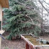 photo 2021-12-12 10-54-26