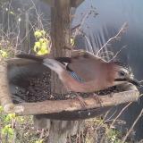 photo 2019-12-22 11-57-40