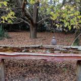 photo 2021-10-19 16-52-40