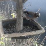 photo 2019-12-26 07-51-46