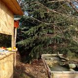 photo 2021-12-22 10-45-49