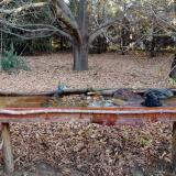 photo 2021-10-26 07-57-12