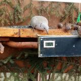 photo 2021-03-04 12-41-48