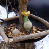 photo 2019-01-15 13-00-26