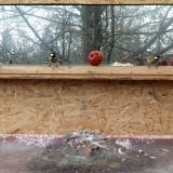 photo 2022-01-16 13-44-25