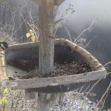 photo 2019-12-29 09-20-24